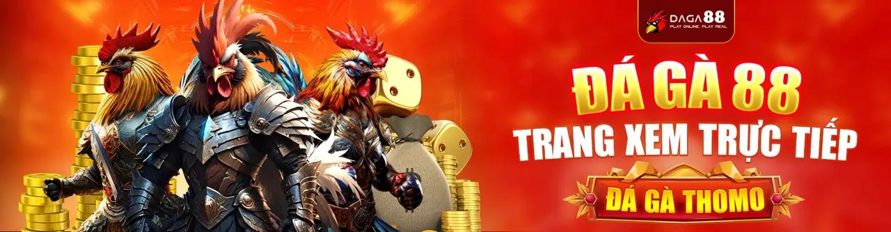Đá gà trực tuyến 88CLD sôi động